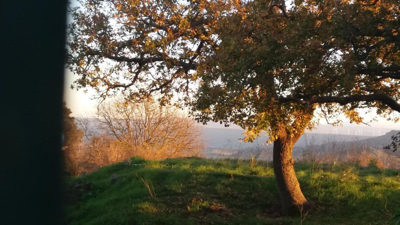 Su Montiju De Sa Falada Manna Cheremule Extérieur photo
