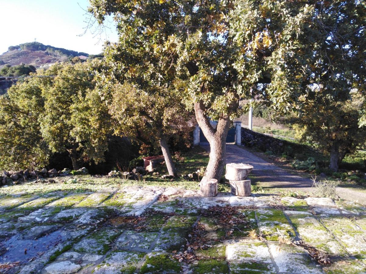 Su Montiju De Sa Falada Manna Cheremule Extérieur photo